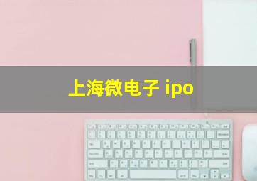 上海微电子 ipo